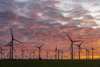 Wind farm near the East Frisian town of Norden, east of the town, sunset, Lower Saxony, Germany,