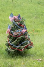 Yankee Springs Twp., Michigan, A pine tree, decorated as a patriotic Christmas tree, in summer on