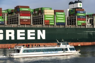 Harbour tugs bring the container freighter Ever Globe to its berth at the Hutchison Ports ECT