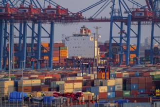 Container terminal Tollerort, container ships are loaded and unloaded, one of 4 container terminals