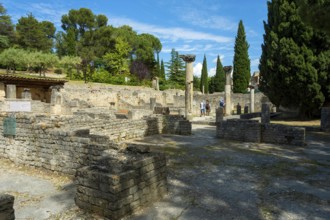 Vaison-la-Romaine. Archaeological site of Puymin. Vaucluse. Provence-Alpes-Côte d'Azur. France