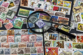 Stamp collection, collect, postage stamps, postage stamps from different countries, magnifying