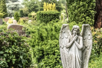 Cemetery, old gravestone, angel figure, North Rhine-Westphalia, Germany, Europe