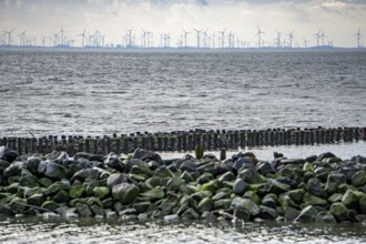 North Sea, Spiekeroog Island, autumn, coastal protection in the west of the island, breakwater,