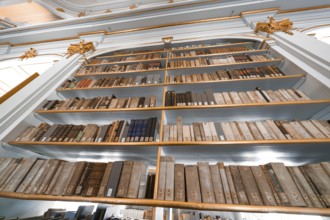 Large bookshelf with old books that create a historical atmosphere in harmony, Weimar, Germany,