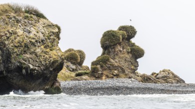 Natural Heritage Site Islotes de Punihuil, Punihuil, Chiloe, Chile, South America