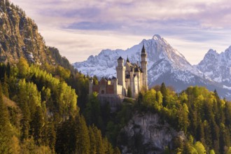 Neuschwanstein Castle near Füssen, evening mood, Schwangau, Allgäu Alps, snow, Ostallgäu, Bavaria,