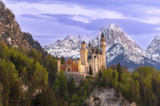 Neuschwanstein Castle near Füssen, evening mood, Schwangau, Allgäu Alps, snow, Ostallgäu, Bavaria,