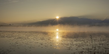 Sunrise at Lake Hopfensee near Füssen, behind Hopfen am See, the Tegelberg massif and the Säuling,