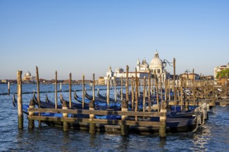 Venetian gondolas, boat dock at St Mark's Square, church Basilica di Santa Maria della Salute in