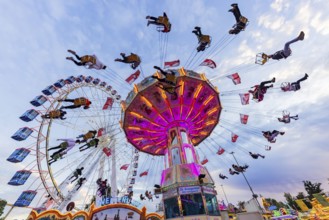 Chain carousel and Ferris wheel in the evening. 177th Cannstatter Volksfest at the Cannstatter