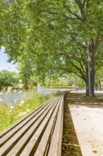 Long wooden bench on the riverbank under a shady tree, Böblingen, Germany, Europe