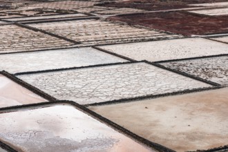 Close-up of salt fields with varying colours and textures, Canary Islands, Lanzarote, Spain, Europe