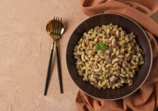 Pasta with stewed meat, pasta in the navy, horns, homemade, no people