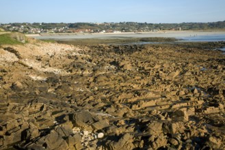 Rocky wave cut platform, Vazon Bay, Guernsey, Channel Islands, Europe