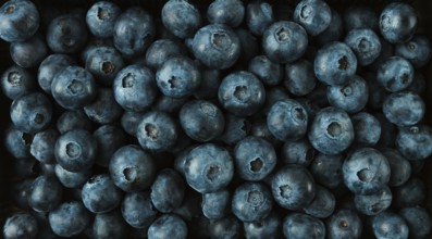 Fresh blueberry background, top view, food wallpaper