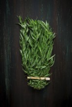 Fresh Tarragon, bunch, top view, close-up, no people