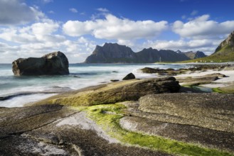 Seascape on the beach at Uttakleiv (Utakleiv), rocks and green seaweed in the foreground. In the