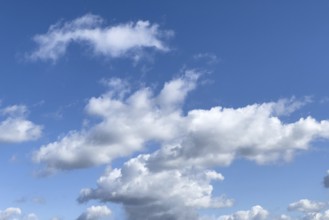 Altocumulus heap clouds torn apart by wind in front of blue sky, international