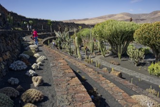 Cactus garden, Jardin de Cactus, designed by the artist César Manrique, Lanzarote, Canary Islands,