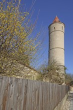 Three Kings' Tower with wooden fence in spring as part of the historic town fortifications,