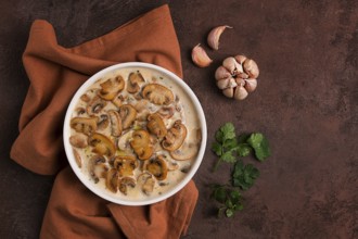 Champignons in creamy garlic sauce, with herbs and spices, gravy, sauce, no people