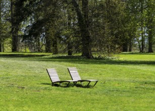 Wooden loungers in a meadow in the park, Rügen, Mecklenburg-Western Pomerania, Germany, Europe