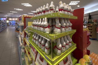 Easter decoration with chocolate bunnies in a supermarket, Mecklenburg-Vorpommern, Germany, Europe