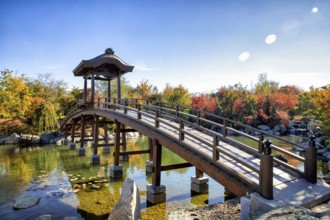 Japanese park, Krasnodar, Russia, Europe