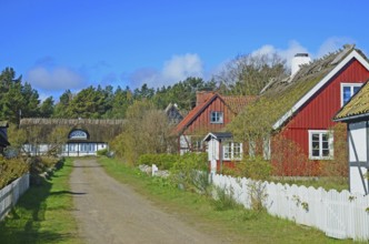 Street in Knäbäckshusen, a small fishing village near Rörum, Simrishamn municipality, Skåne County,