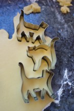 Swabian cuisine, Swabian Christmas biscuits, preparation of cookie cutters, shortbread biscuits,