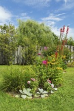 Mixed border with Salvia, Silver Sage, Rudbeckia hirta 'Irish Spring', Coneflowers, Dahlia and red