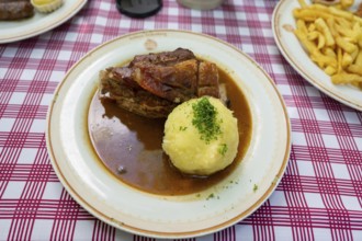 Fresh Schäuferle with dumplings served in a garden restaurant, Franconia, Bavaria, Germany, Europe