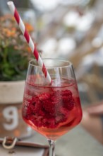 Aperitif fruity bitter with raspberries in a glass with straw, Franconia, Bavaria, Germany, Europe