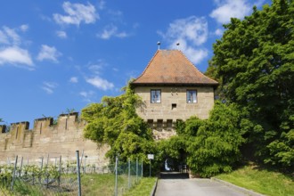 Hohenbeilstein Castle, hilltop castle, Beilstein, Heilbronn district, Baden-Württemberg, Germany,