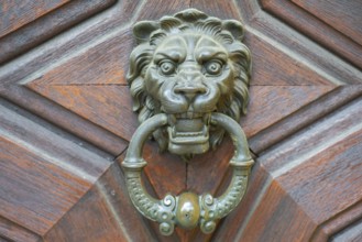 Lion's head as a door knocker at an entrance gate, Bamberg, Upper Franconia, Bavaria, Germany,