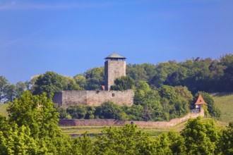 Hohenbeilstein Castle, hilltop castle, Beilstein, Heilbronn district, Baden-Württemberg, Germany,