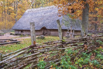 Reconstructed bronze age house with thatched roof in an oak forest with fence of tree branches with