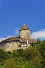 Reichenberg Castle, Staufer castle complex, hilltop castle, historical building, built between 1230