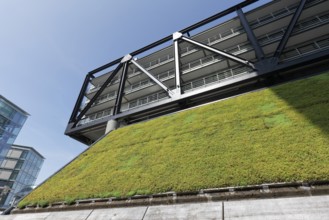 Green façade on the PEC office building, cloud bow, planting to improve the climate, Düsseldorf