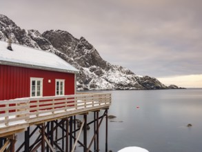 Traditional red wooden house on pegs by the fjord, snow-capped mountains behind, Nusfjord,