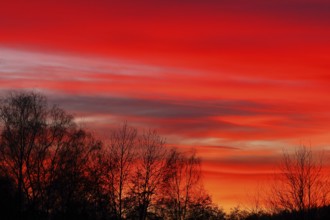 Sunset, red sky, burning sky, silhouette, Rothaargebirge, North Rhine-Westphalia, Germany, Europe