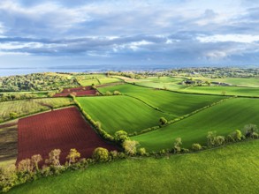 Fields and Farms over Torquay from a drone, Devon, England, United Kingdom, Europe