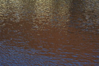 Reflections on a water surface, North Rhine-Westphalia, Germany, Europe