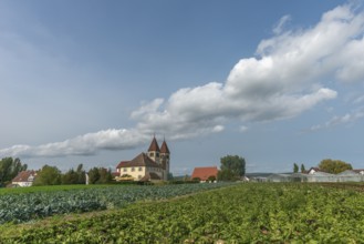 Collegiate Church of St Peter and Paul, Niederzell, Reichenau Island, double tower, rectory,