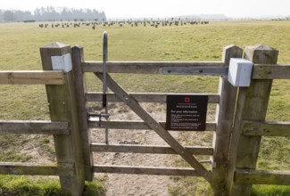 Entrance gate to Woodhenge neolithic prehistoric henge site, near Amesbury, Wiltshire, England, UK