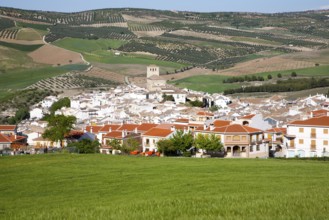 Alhama de Granada, Spain in Andalucian farming landscape of fields and rolling hills