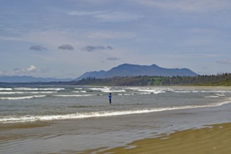 Endless empty sandy beach with swell and mountains in the background, Long Beach, Pacific Rim