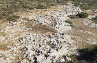 Rocky limestone bare surface showing effects of chemical weathering, Marfa peninsula, Malta, Europe