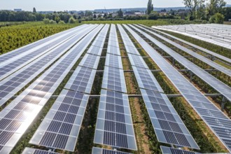 Agri-photovoltaic test plant, an apple orchard with two different systems of PV modules was roofed